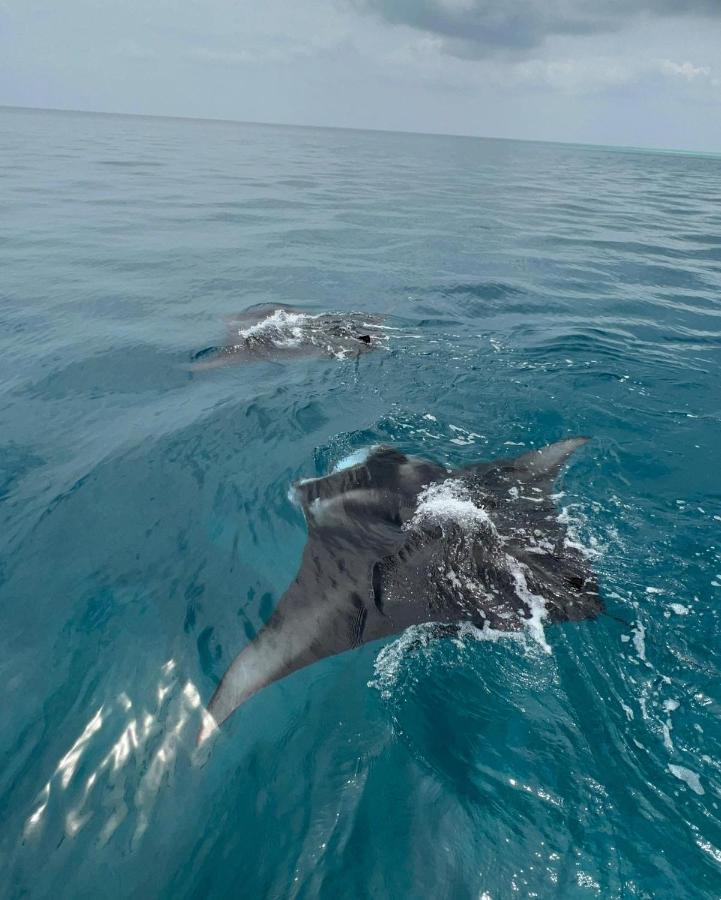 ホテル アメージング ビュー ゲスト ハウス ソドゥー エクステリア 写真